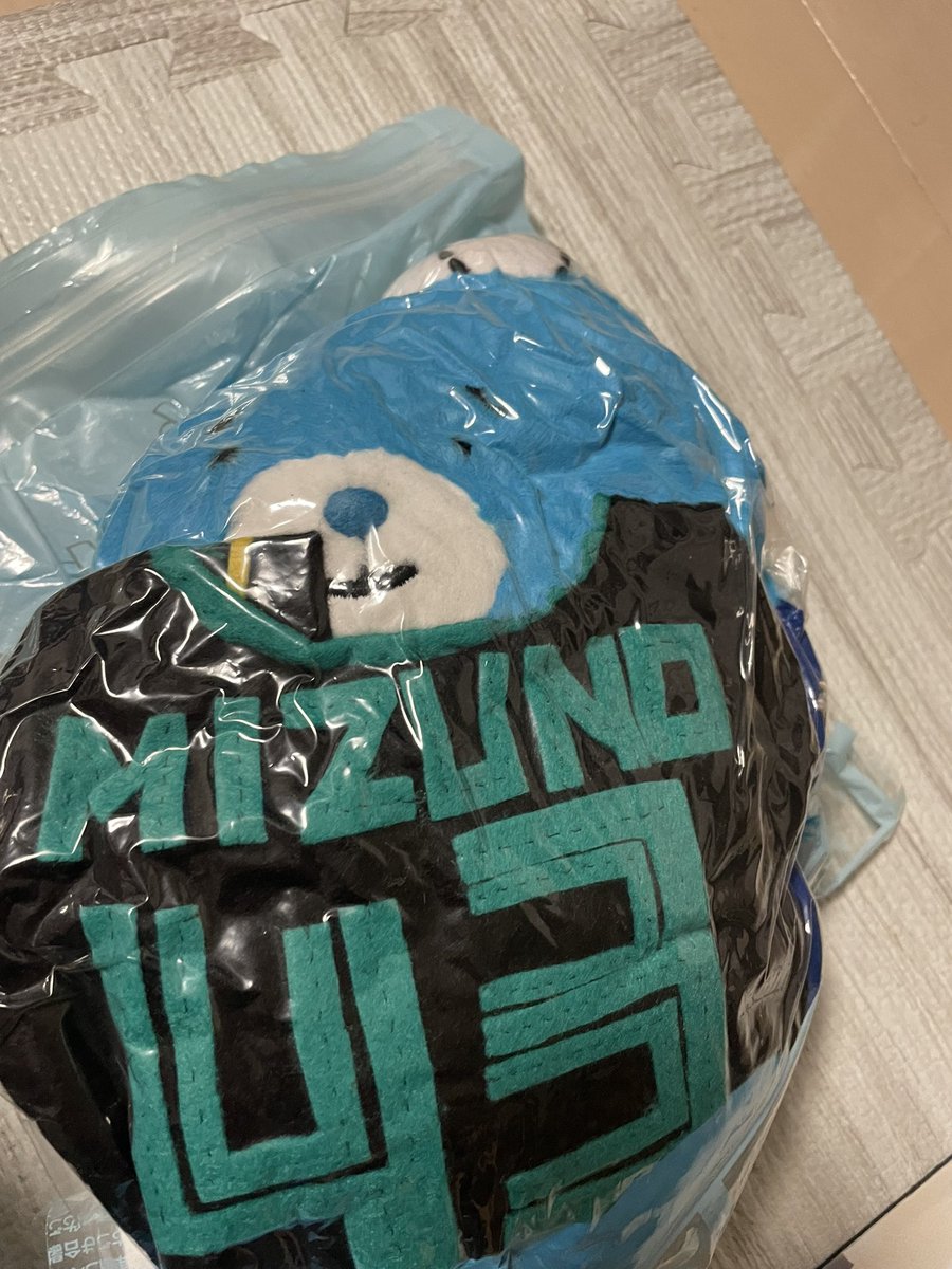 チロリン村村長 tweet media