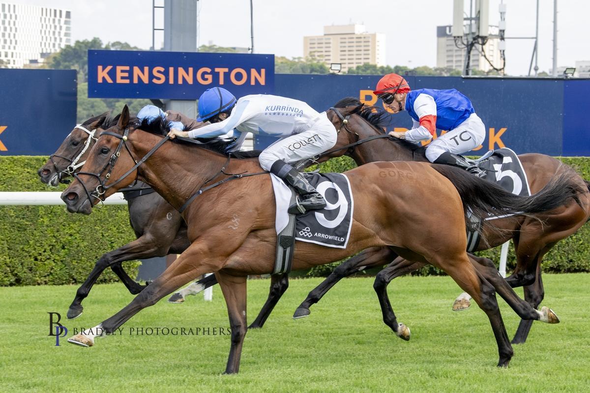 David Pfieffer Racing tweet media