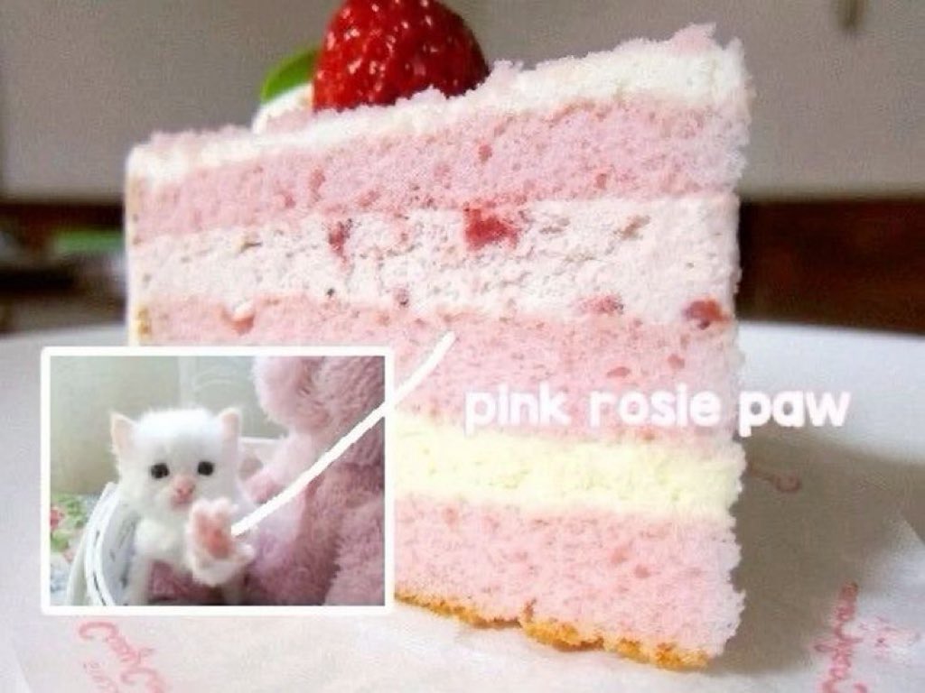 ♪⃣ 𓈒 ݁ 𓏲𝄢 tweet media