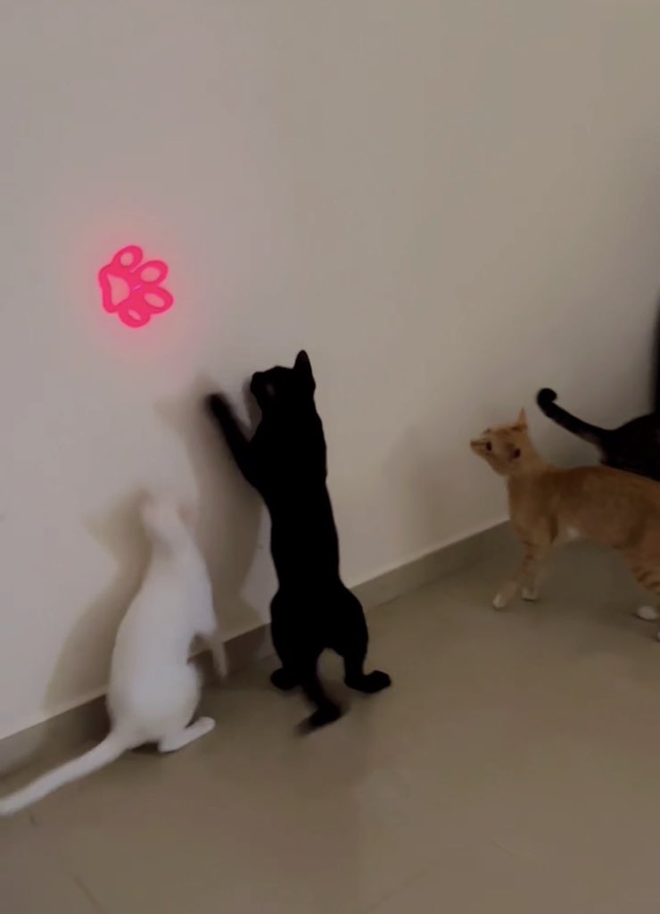 هيلة الروقي (قلب الرحمة) tweet media