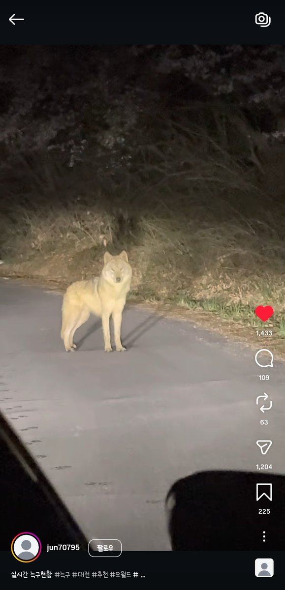 잼쀼🐹💙 tweet media