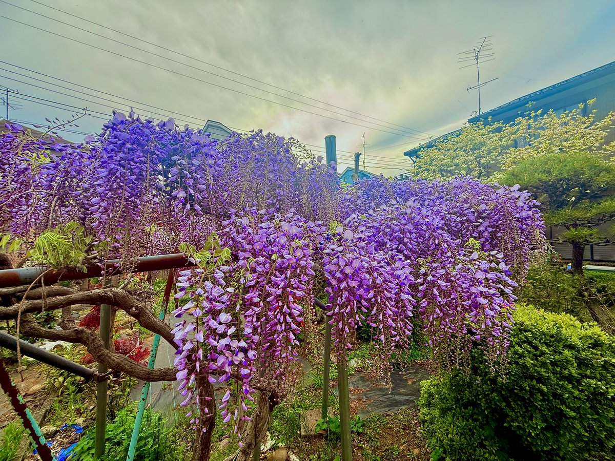 🖤かん🖤🧊 tweet media