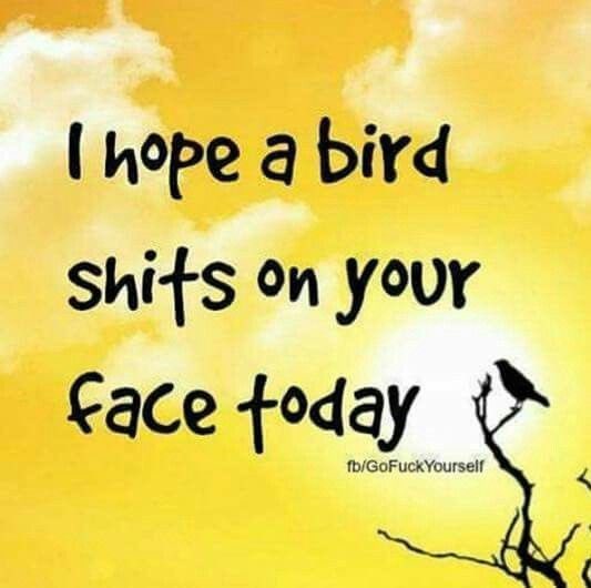 BA Sprack tweet media