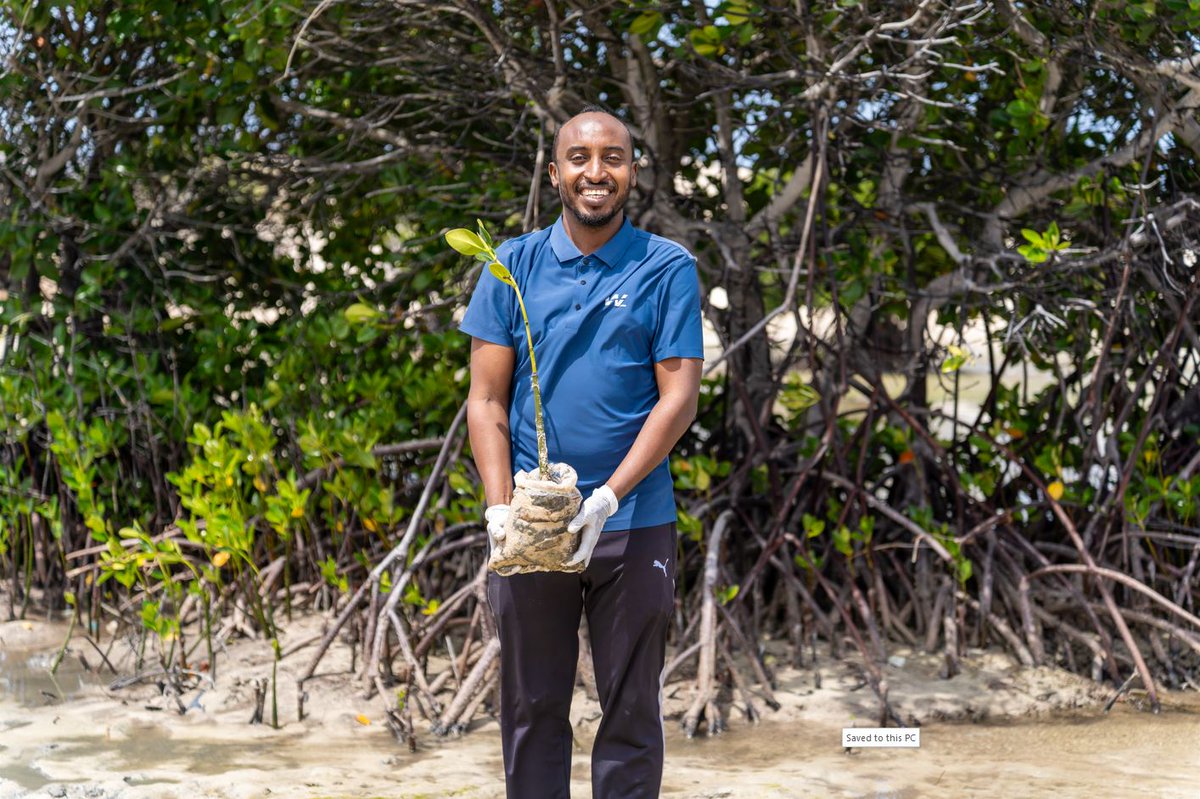 UN Development tweet media