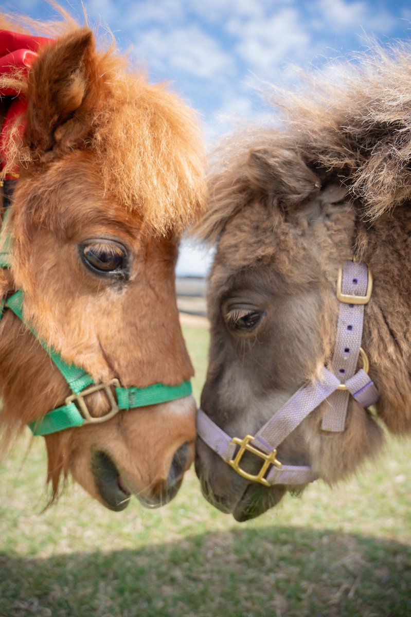 まりっぺ@うま tweet media