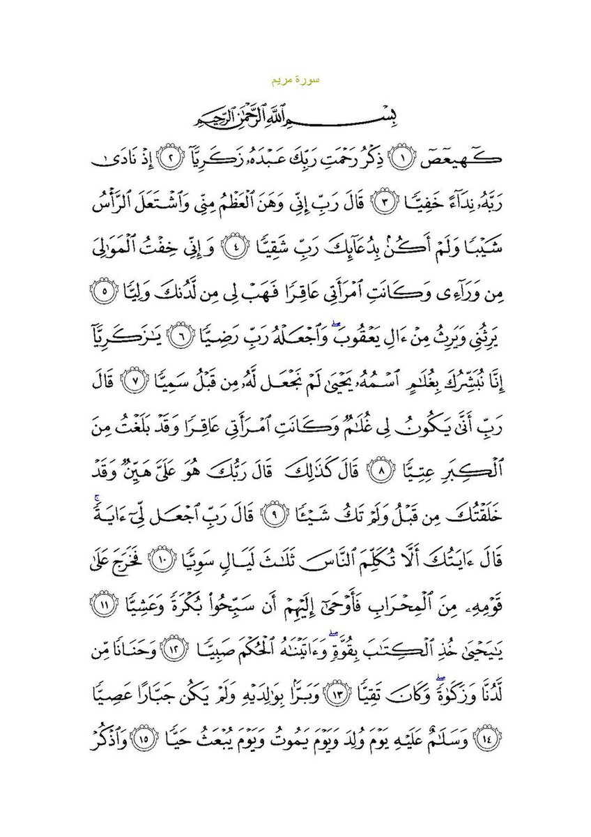 Martín Dandach tweet media