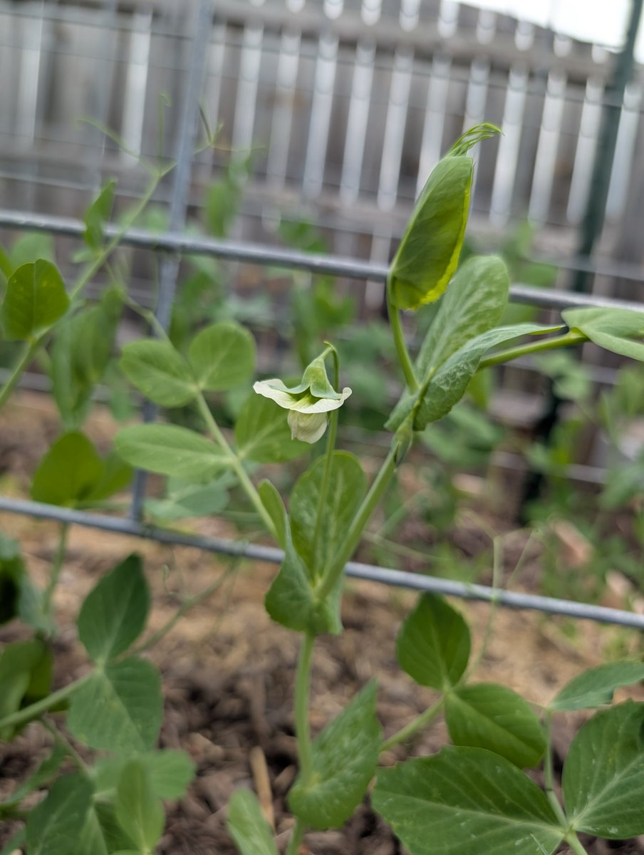 Mikah Stanley tweet media