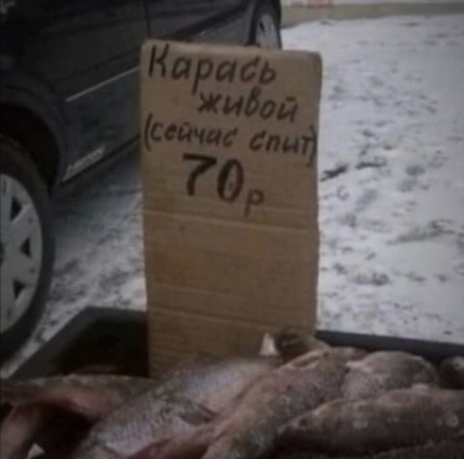 нейродурак tweet media