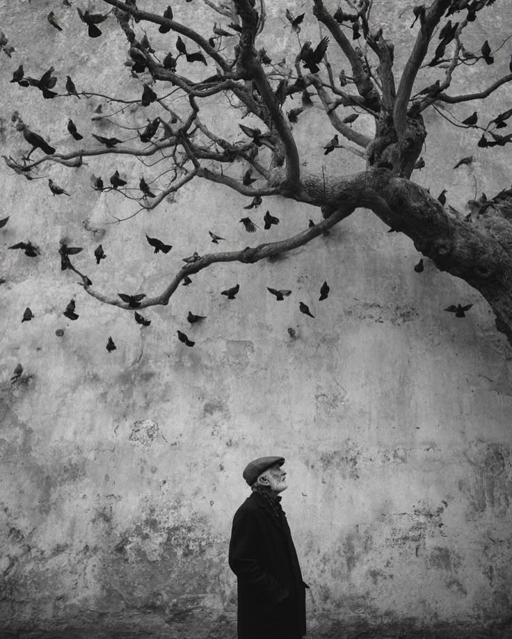 literland tweet media