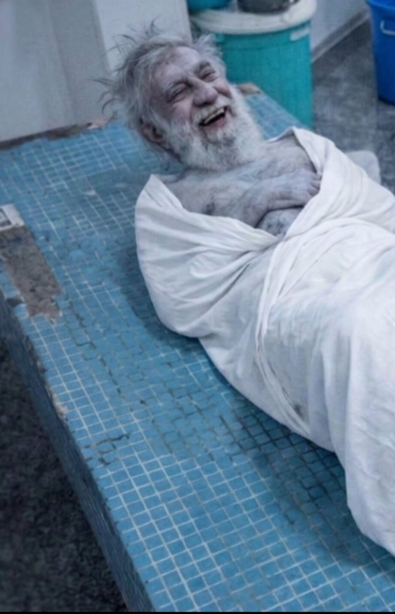 طير الأبابيل tweet media