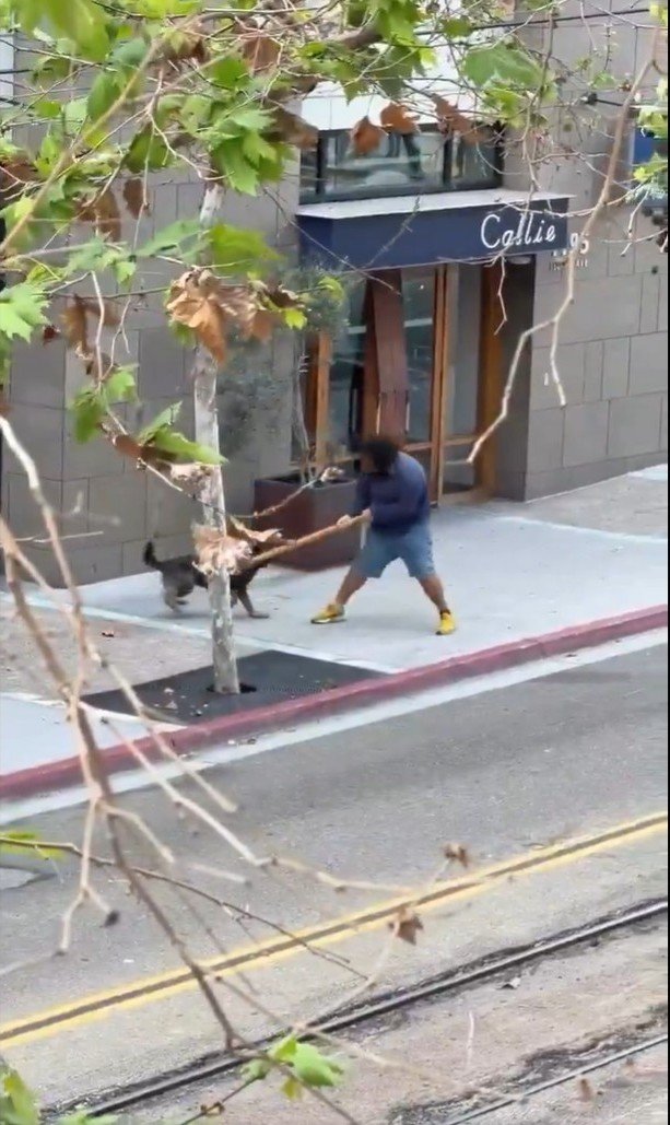 ShikaiShinobi tweet media