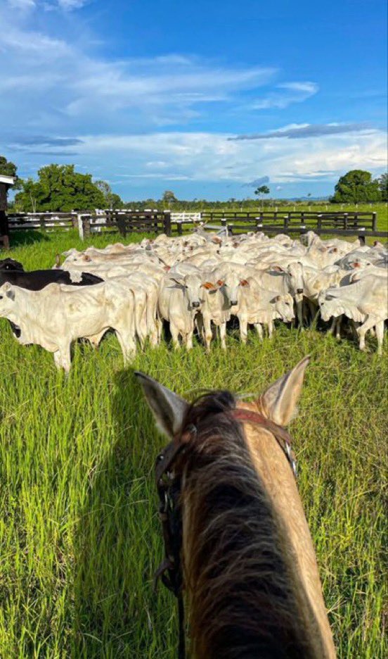 Munezero Cedric tweet media