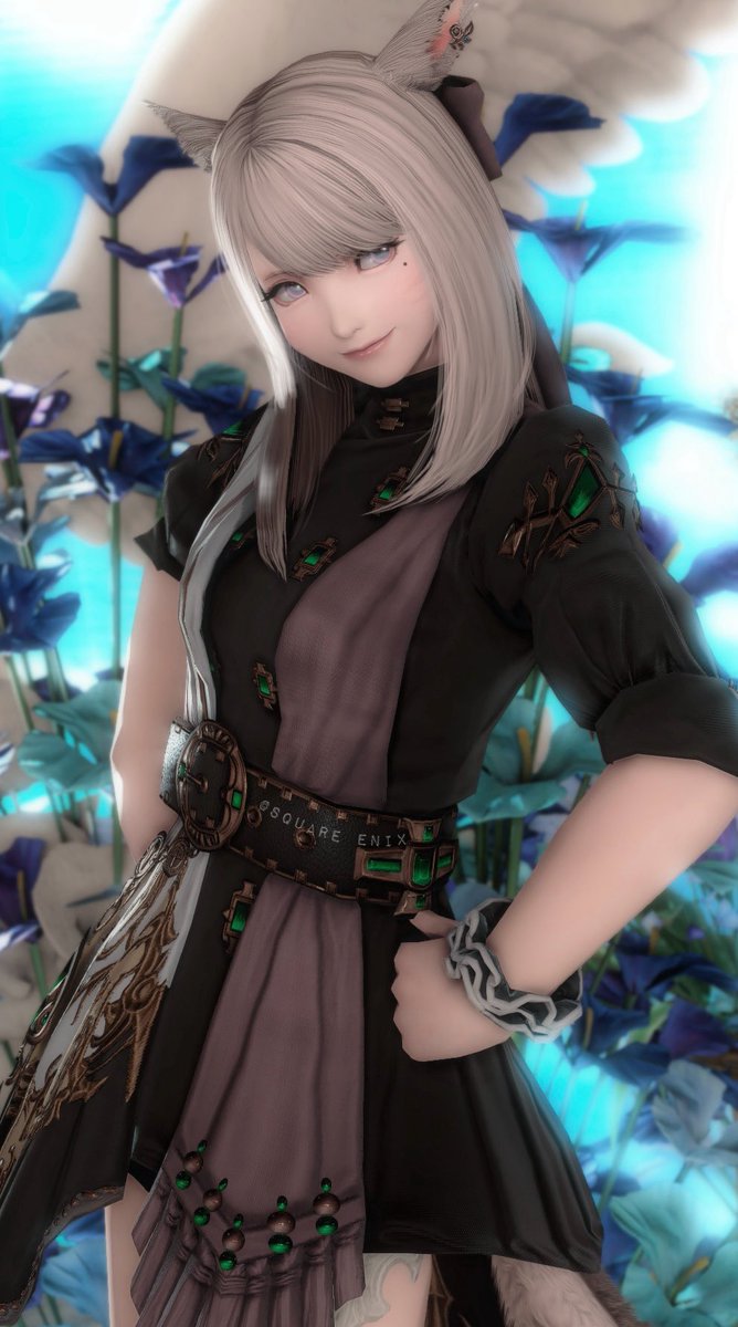 ごりちゃん🐾*.꙳ ʰᵃᵈᵉˢ *.꙳ tweet media