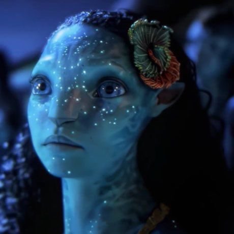 daily tsireya tweet media