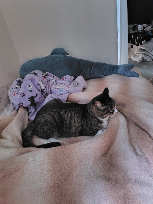 トイレから戻ってきたらこれよ 