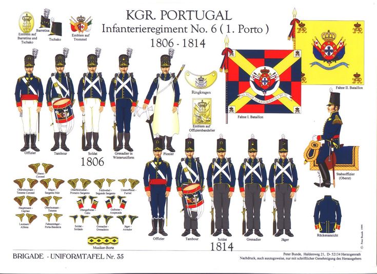 Polkaroad tweet media