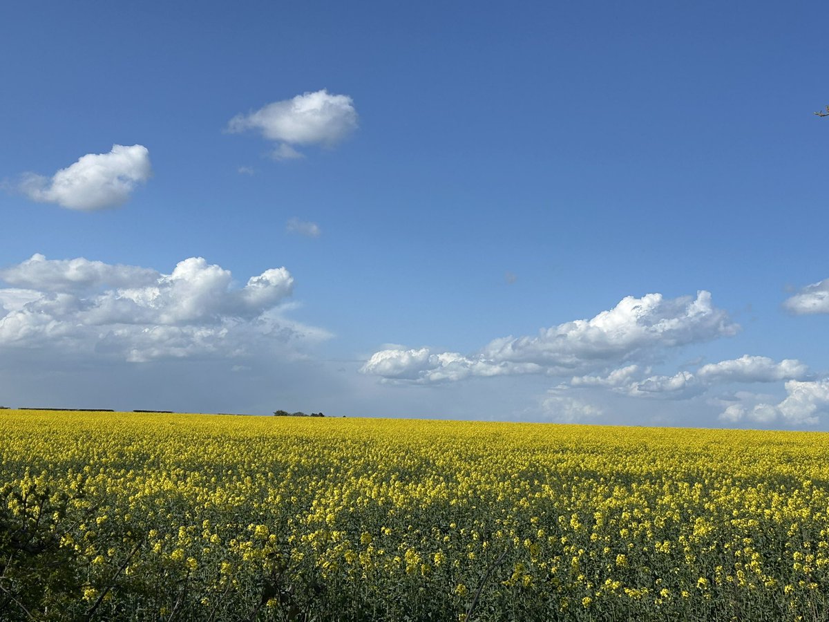chatswithem's tweet image. Stunning . 

This is the kind of view Mad Miliband wants to turn to metal.

#fields #beauty #nature #protect #countryside