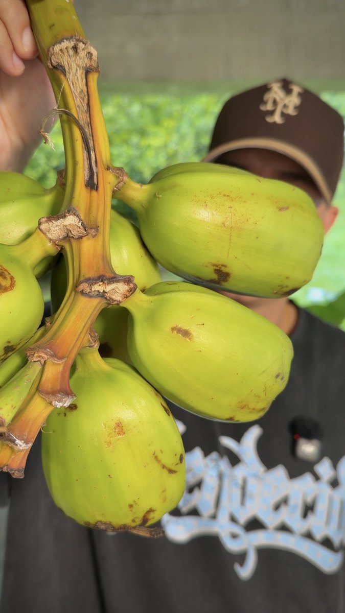 BoriLicious tweet media