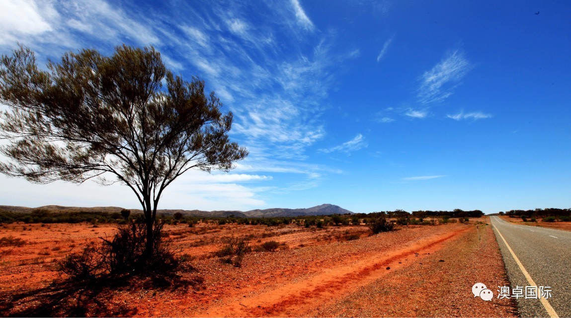 Veronique LAPOUYADE tweet media