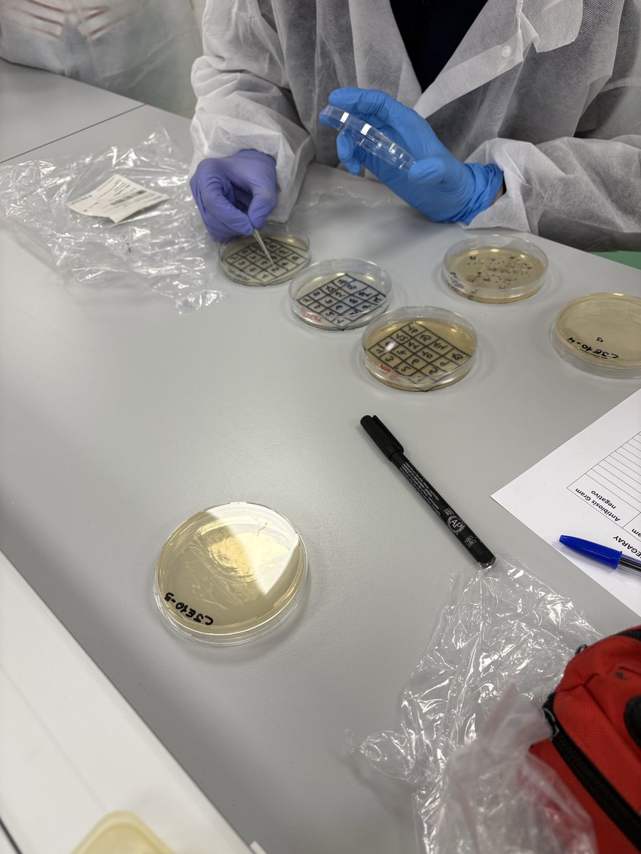 miridome8's tweet image. Tercer día de Micromundo en el CEIPSO José Echegaray @esmisionposible