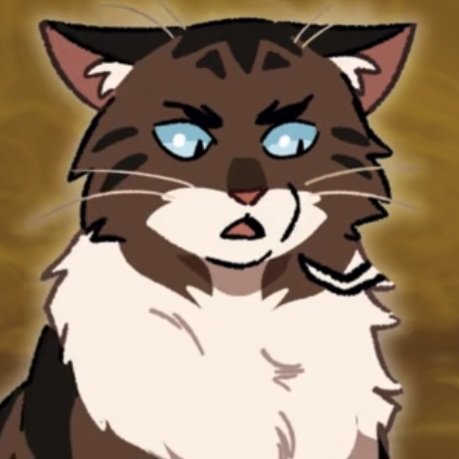 Hawkfrost tweet media