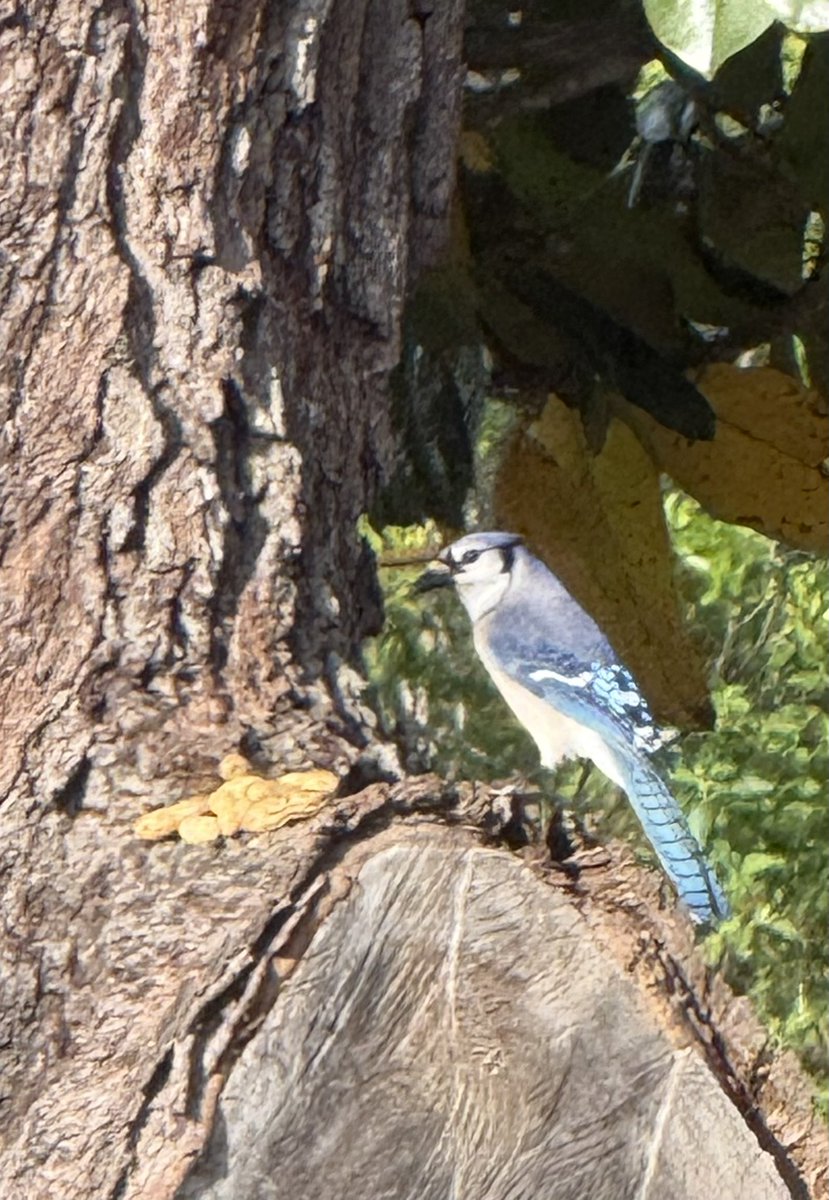 🇺🇸 Dave 🇺🇸 tweet media