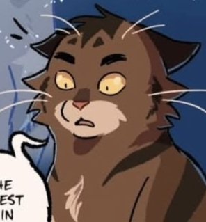 Hawkfrost tweet media