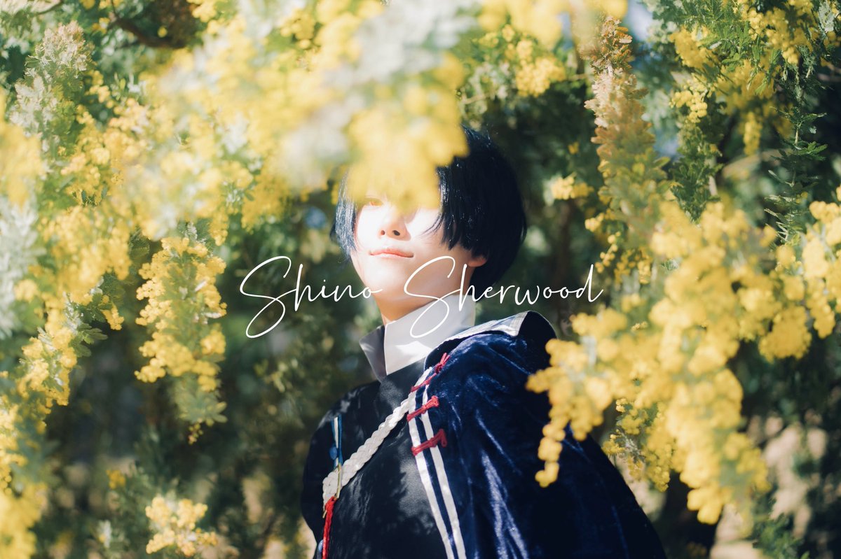 やの☀️ tweet media