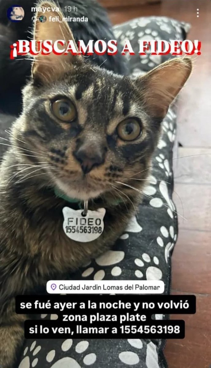 🇦🇷 Seba76 🇦🇷 tweet media