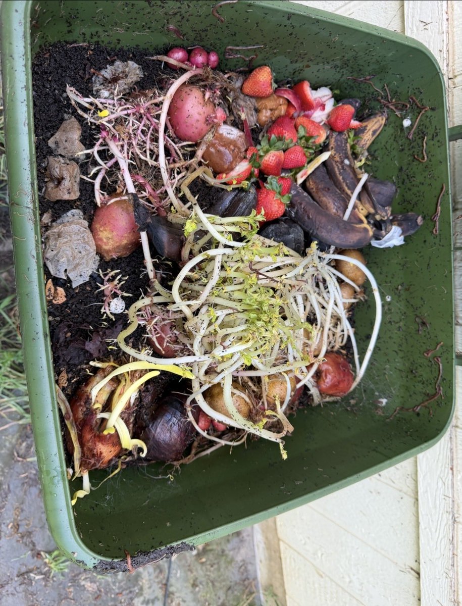 Jordan with a bunch of numbers tweet media