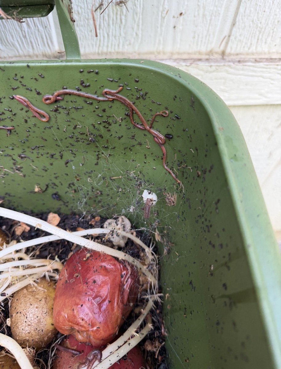 Jordan with a bunch of numbers tweet media