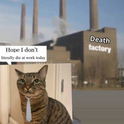 neet_sol's tweet image. “Let’s get back to work”