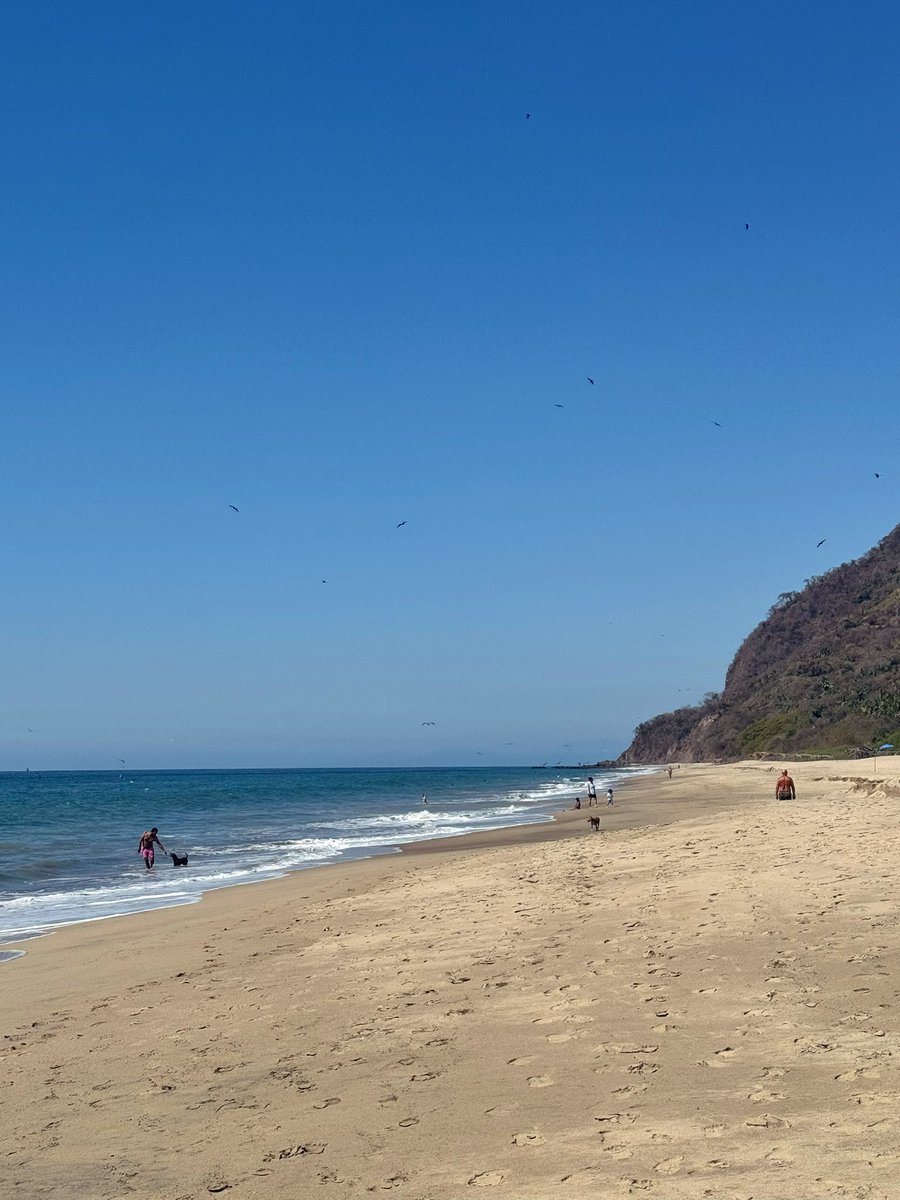 Craig Terlson tweet media