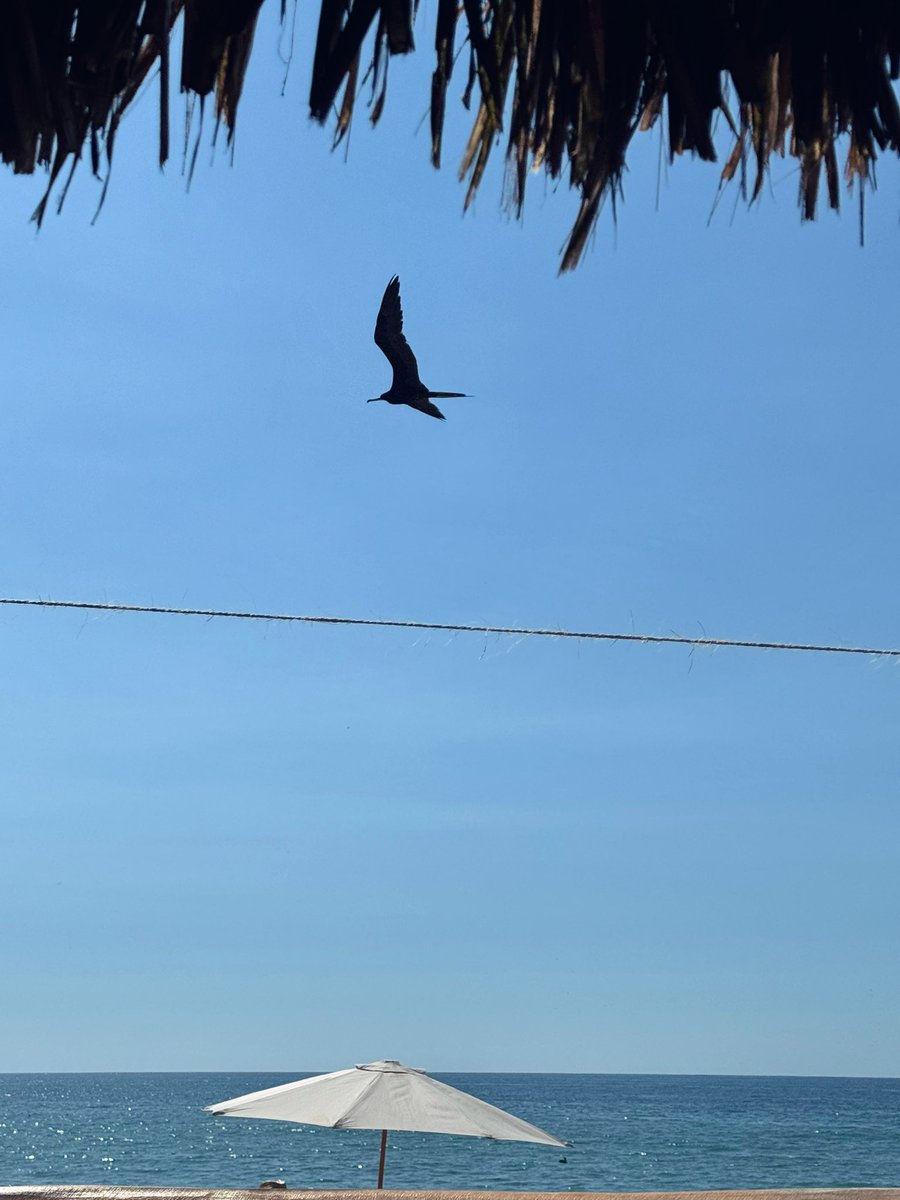 Craig Terlson tweet media