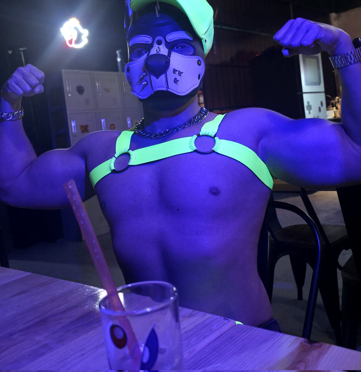 el_senior_leon's tweet image. Woof woof 🐺