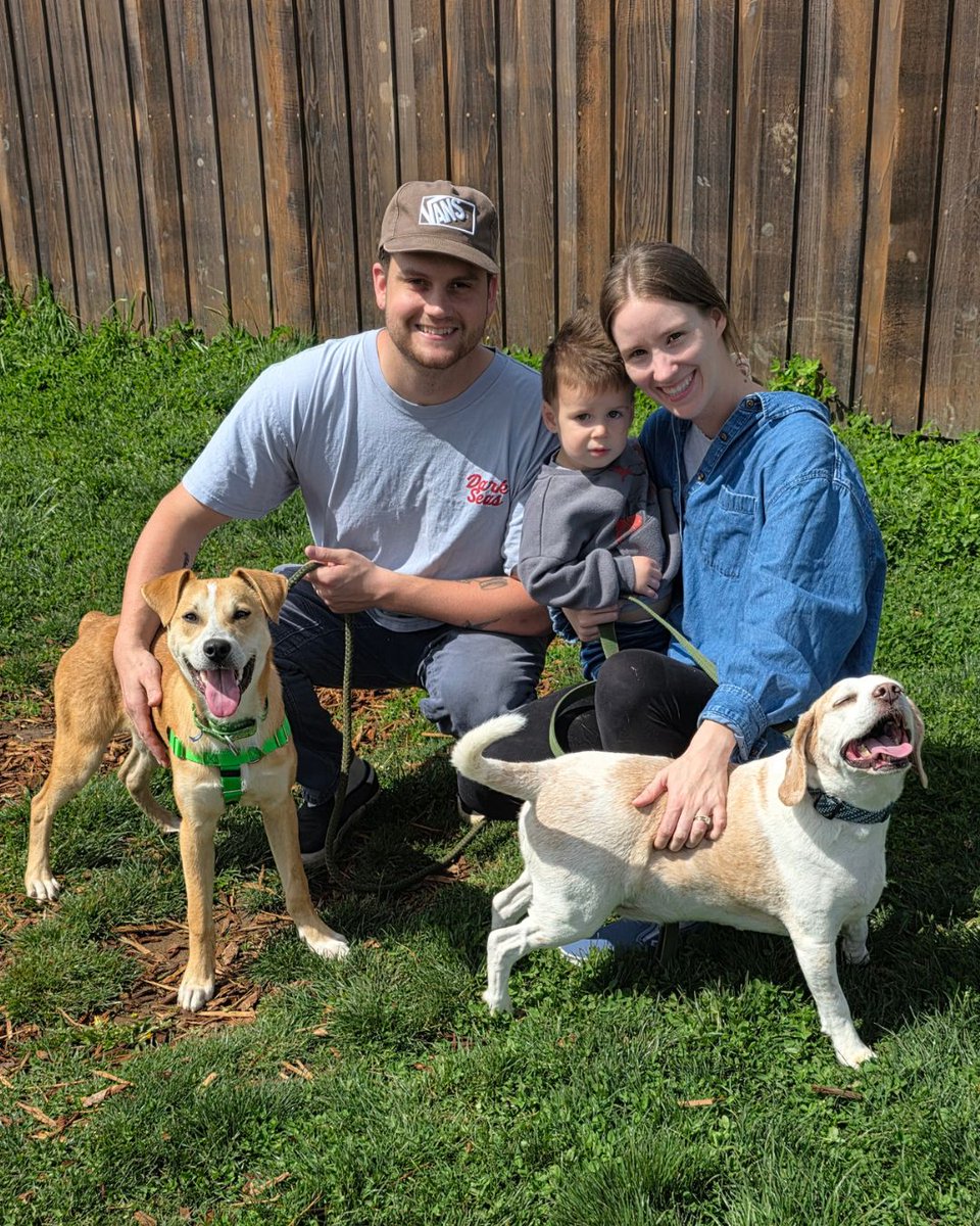 Greenhill Humane tweet media