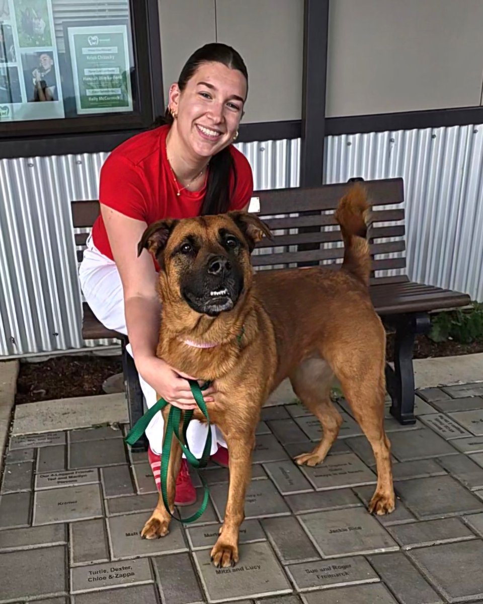 Greenhill Humane tweet media