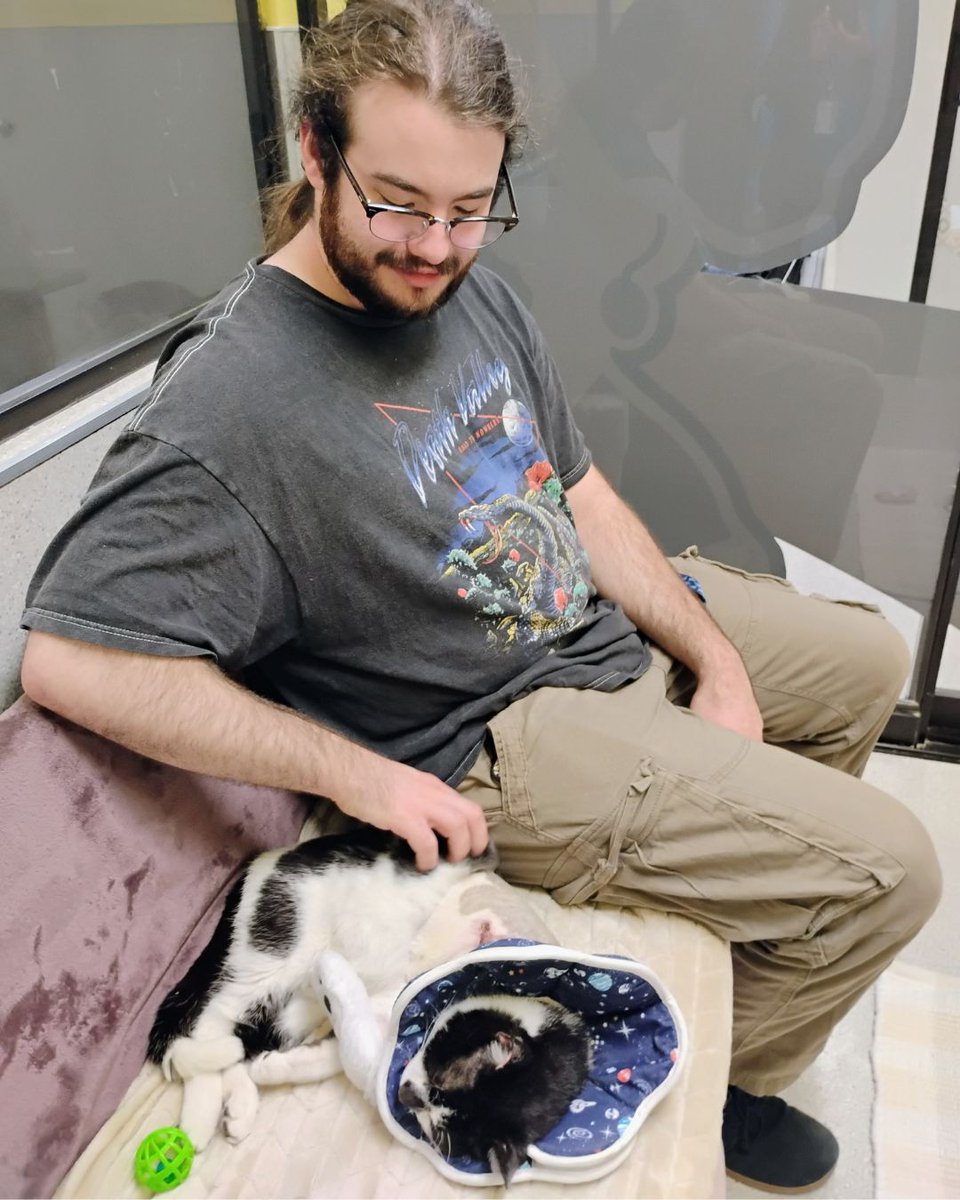 Greenhill Humane tweet media