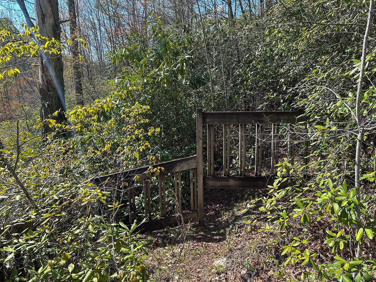 joannpip's tweet image. My second visit to our 3rd stop #ConnesteeFalls #TransylvaniaCounty #NorthCarolina