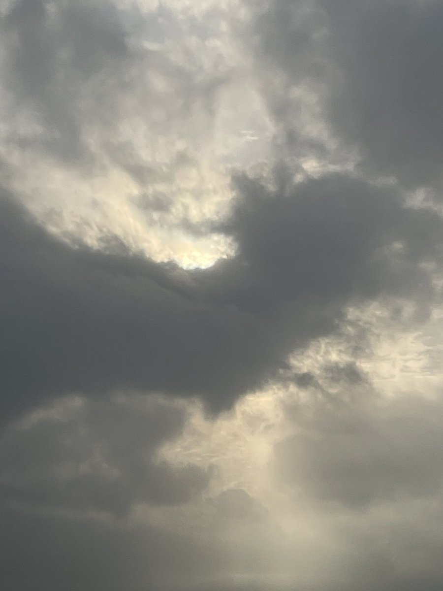 KIMU-TAKA 【大盛の美学✨完食完飲は当たり前😋胃袋はブラックホール🕳️筋肉研究家🏋️】 tweet media