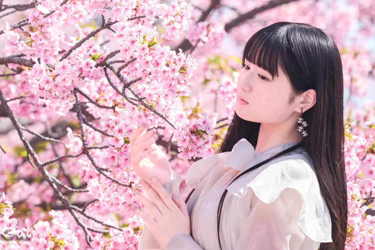 GAI_Idol tweet media