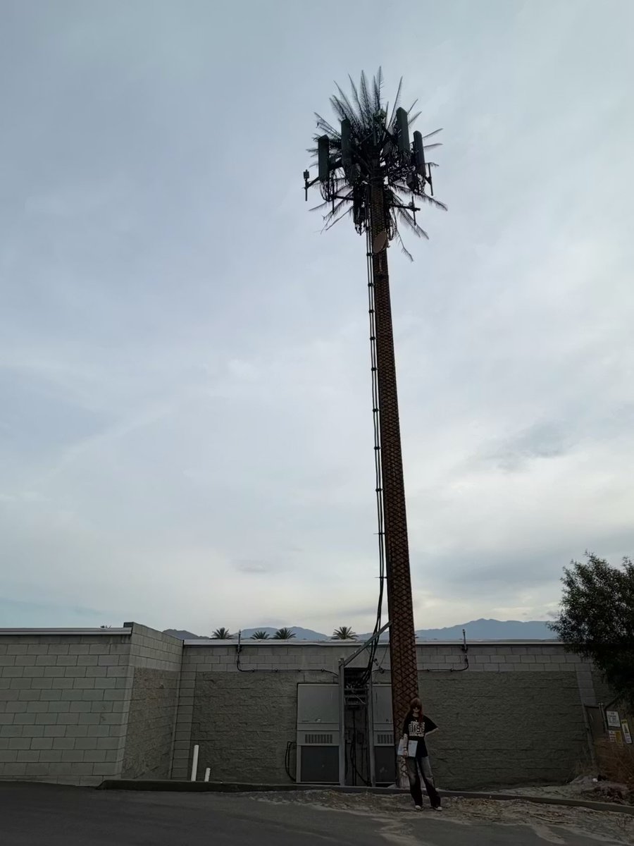 central ninajirachi tweet media