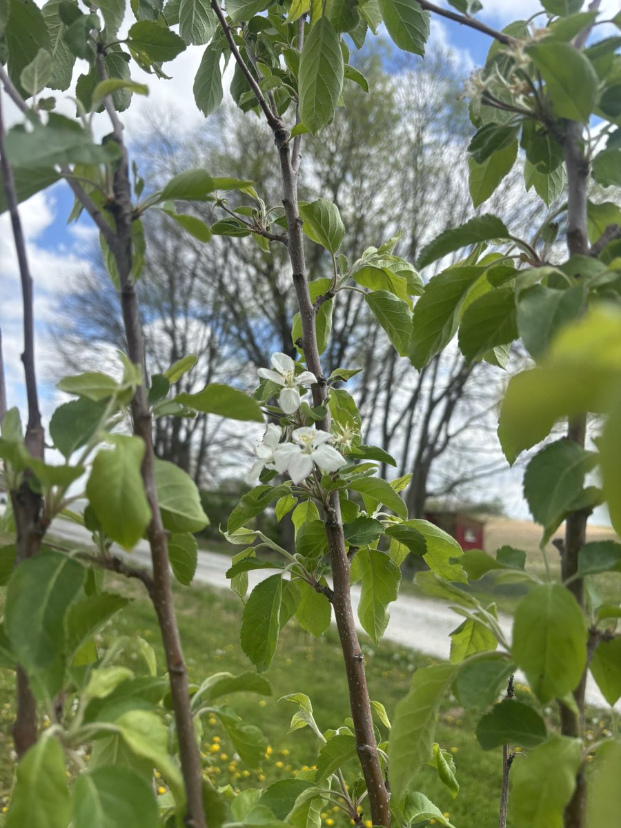 Indiana Brooke tweet media