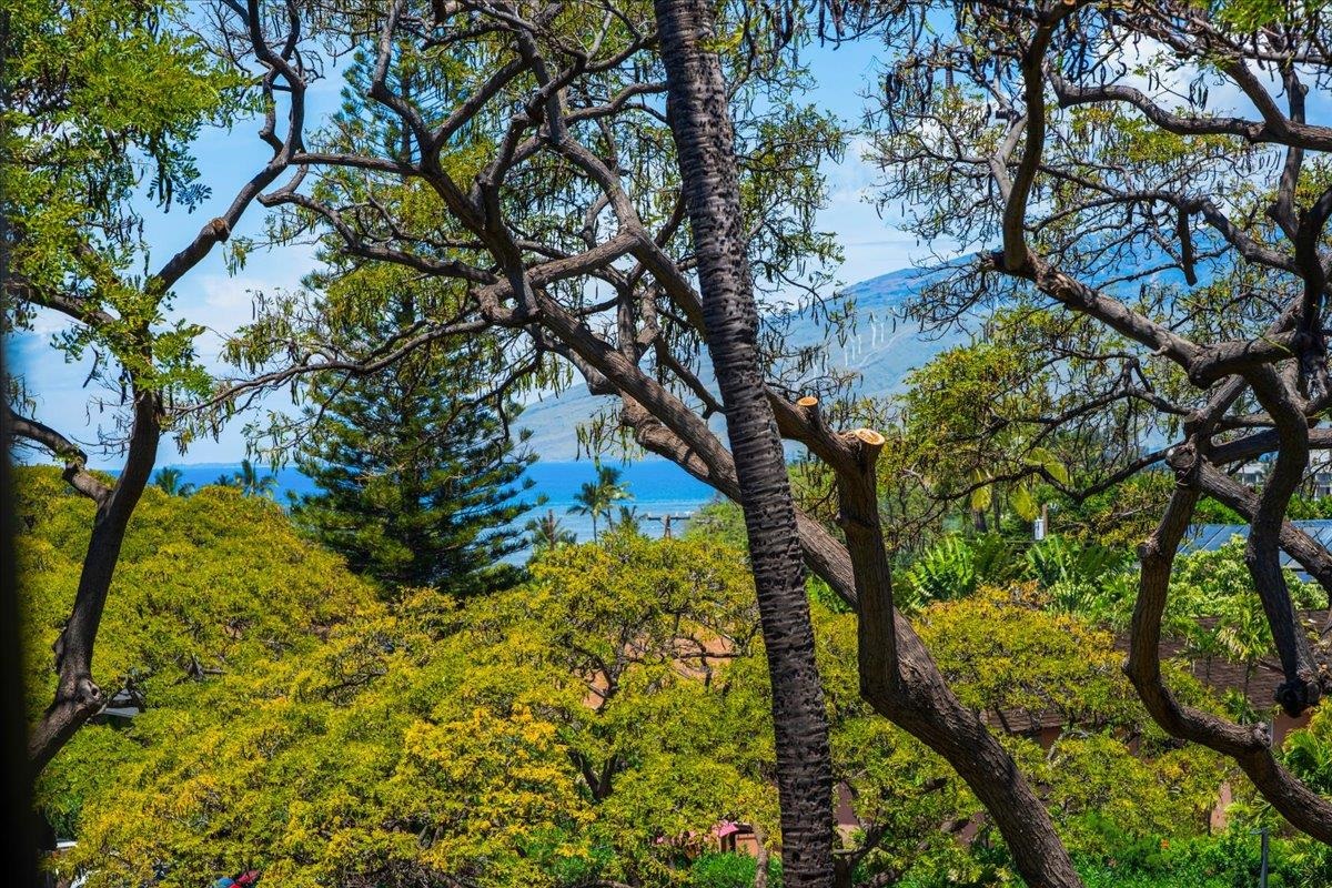 HawaiiLife's tweet image. Just listed by Josh Jerman, R(B) and Matt Smith, R(S) is 2191 S Kihei Rd 2419, in Kihei, Maui, for $850,000.

hawaiilife.com/listings/2191-…

Top-floor 2-bed, 2-bath Maui Vista condo in highly desirable Building Two with ocean views. 

Tap the link for more details.

#HawaiiLife #Maui