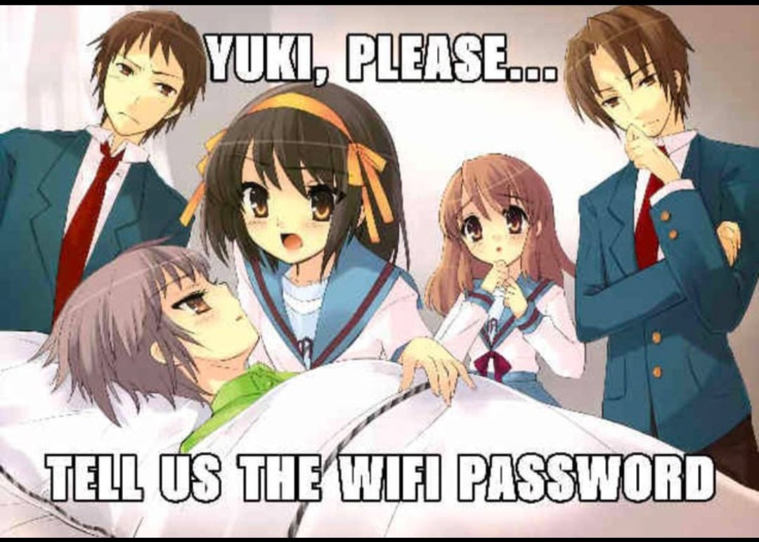 ミスティック (mystic) tweet media