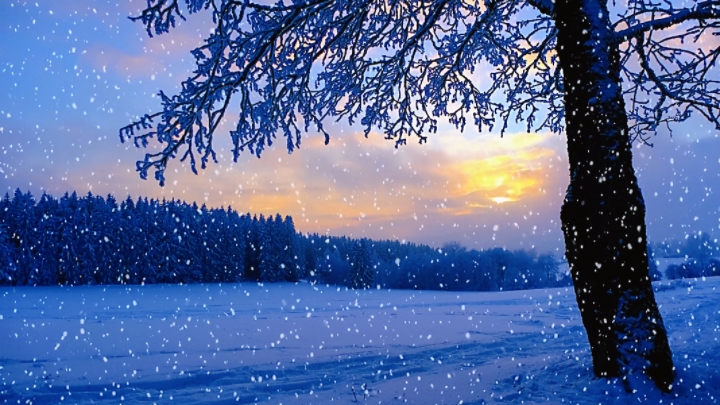 Matt Lambert tweet media