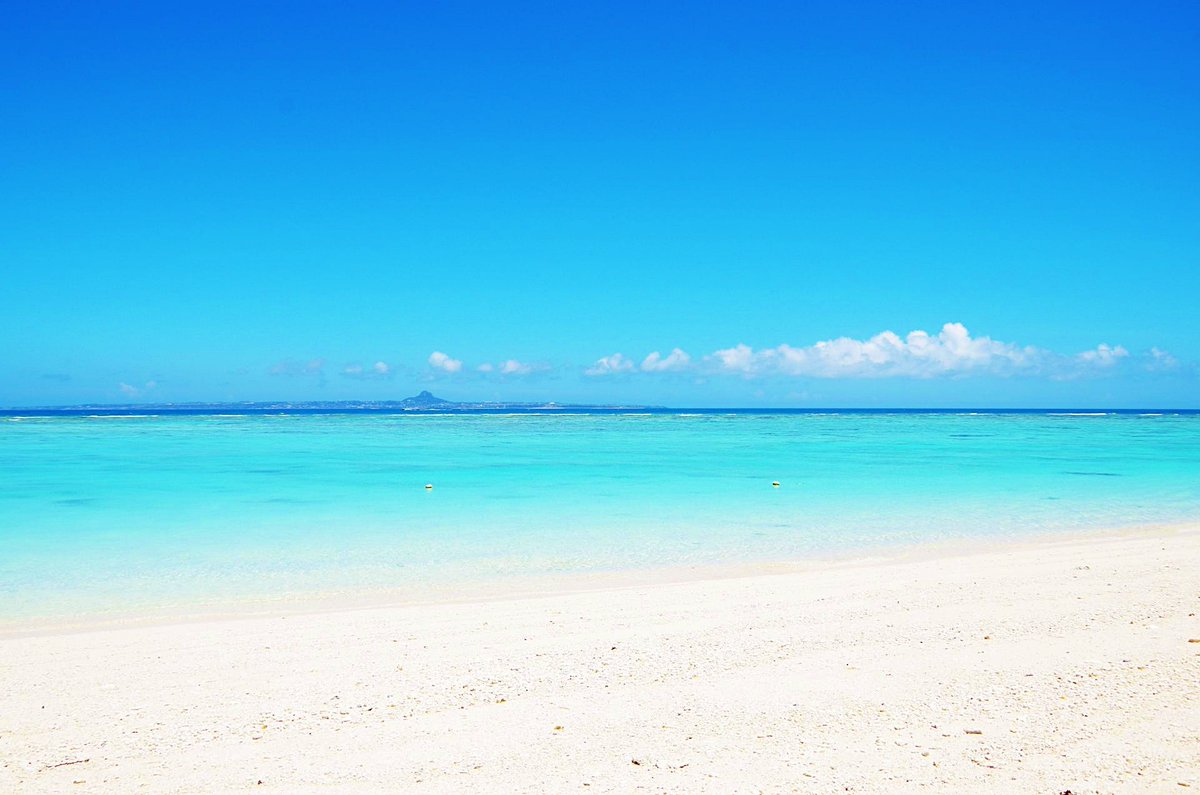 極上の沖縄 -okinawa- tweet media