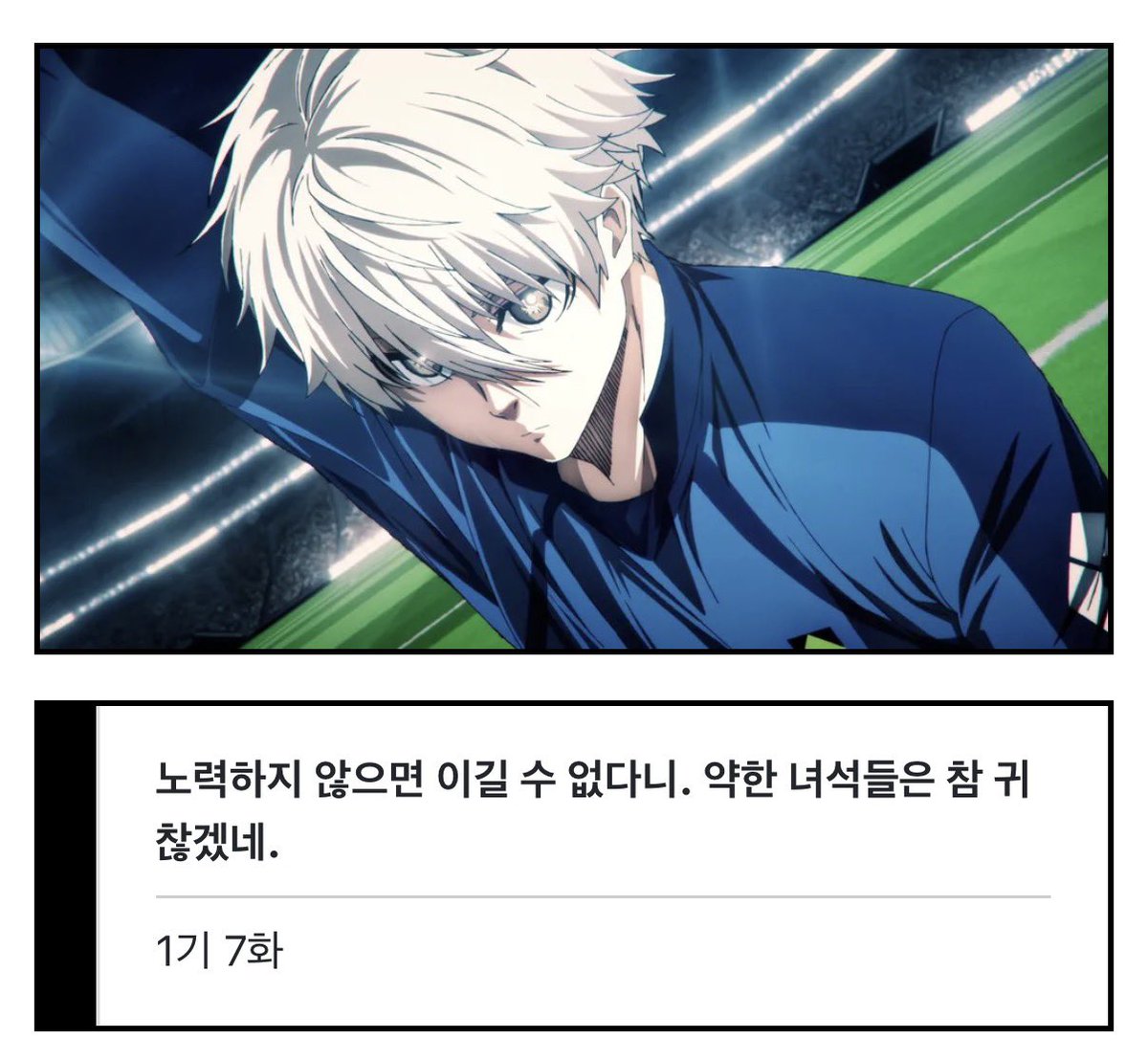 앨리스 tweet media
