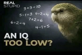 WhoKnows tweet media