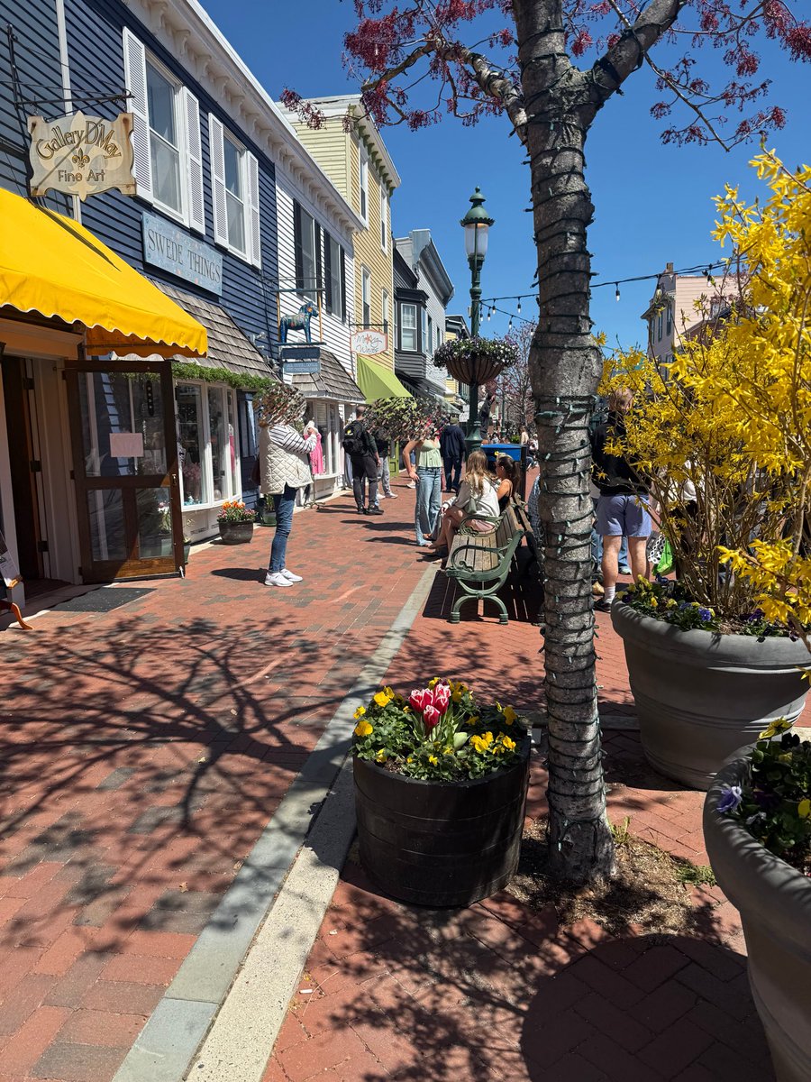 aya｜NJ🇺🇸駐在帯同・英語勉強中 tweet media